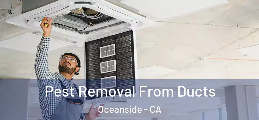  Pest Removal From Ducts Oceanside - CA