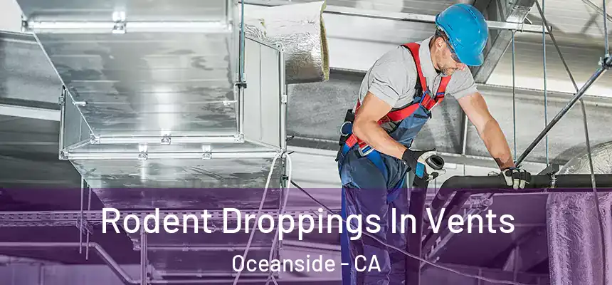  Rodent Droppings In Vents Oceanside - CA