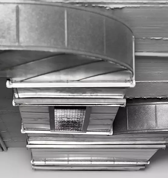 Professional Air Duct Pet Hair Removal in Oceanside, CA