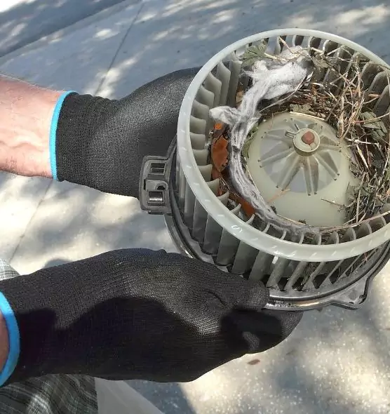 About Air Duct Rat Removal in Oceanside, CA