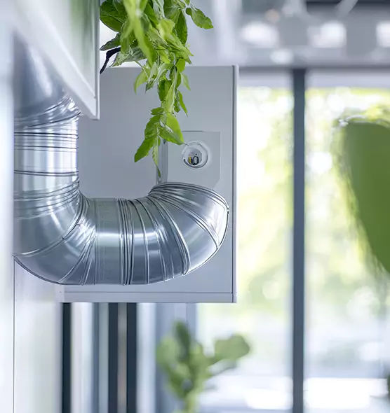 Professional Eco-Friendly Duct Cleaning Services in Oceanside, CA