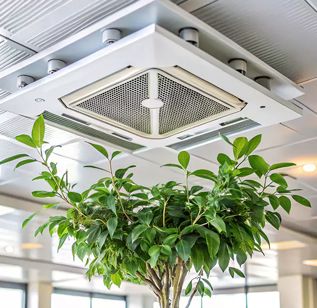 Why Homeowners & Businesses Trust Us in Oceanside, CA?